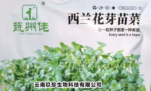 Broccoli sprout seeds - vegetable state guy! Broccoli sprout seeds - vegetable state guy!